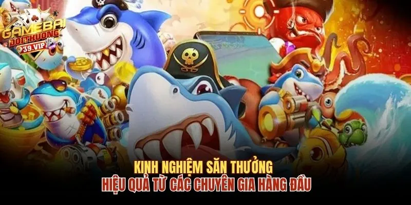 Kinh nghiệm săn thưởng hiệu quả từ các chuyên gia hàng đầu